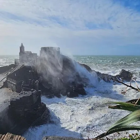 Casa Orchidea A דירה